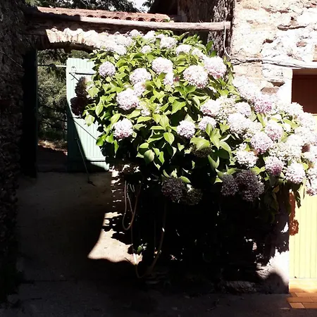 Ferienhaus Mas Nissole Sumène