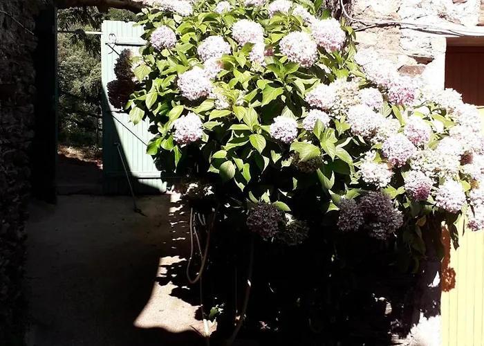 Tatil Evi Mas Nissole Sumène